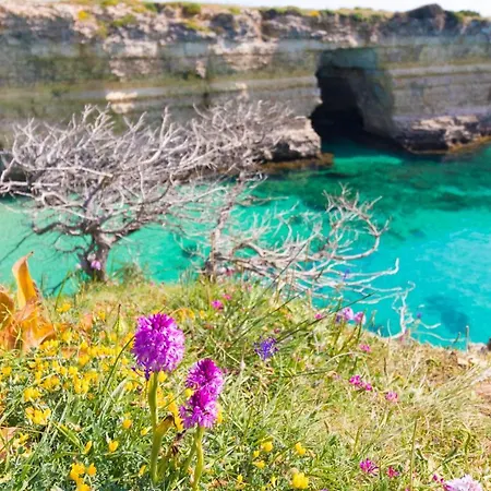Casa Vacanze Raffaella In Salento * Otranto